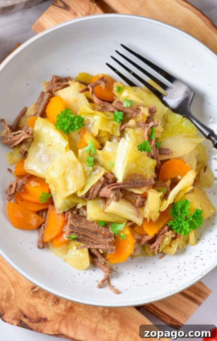 Hearty Cabbage Stew 11 A vibrant Beef and Cabbage Stir Fry, rich with colorful vegetables and tender beef, presented beautifully.