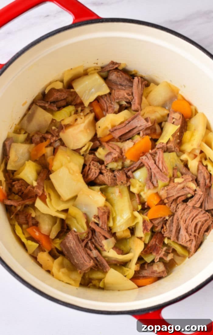 Hearty Cabbage Stew 9 A comforting bowl of hearty cabbage stew, showcasing tender beef and soft vegetables, ready to be enjoyed.