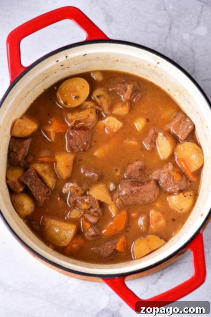 Family Friendly Beef Stew 5 Delicious Beef Stew cooked stovetop without wine, ready to be served