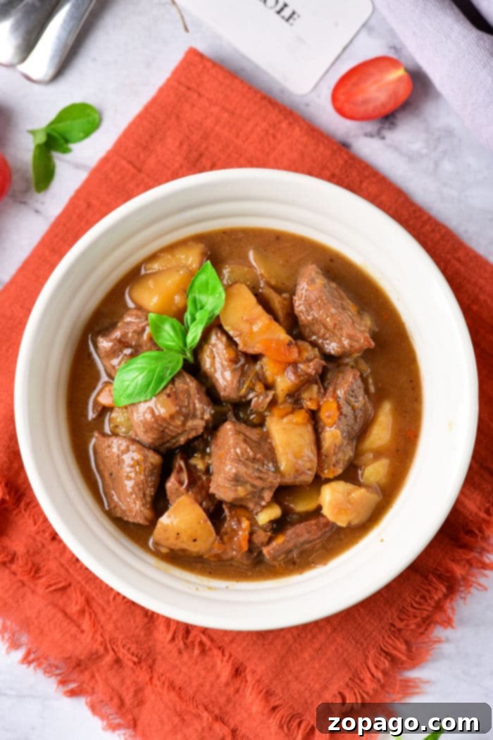 Family Friendly Beef Stew 6 Close-up of a bowl of tender Beef Stew without wine, rich and savory
