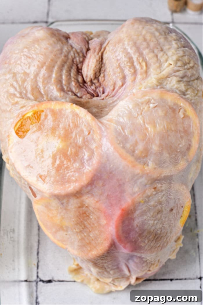 Regal Turkey Roast 4 How to Roast a Turkey Breast