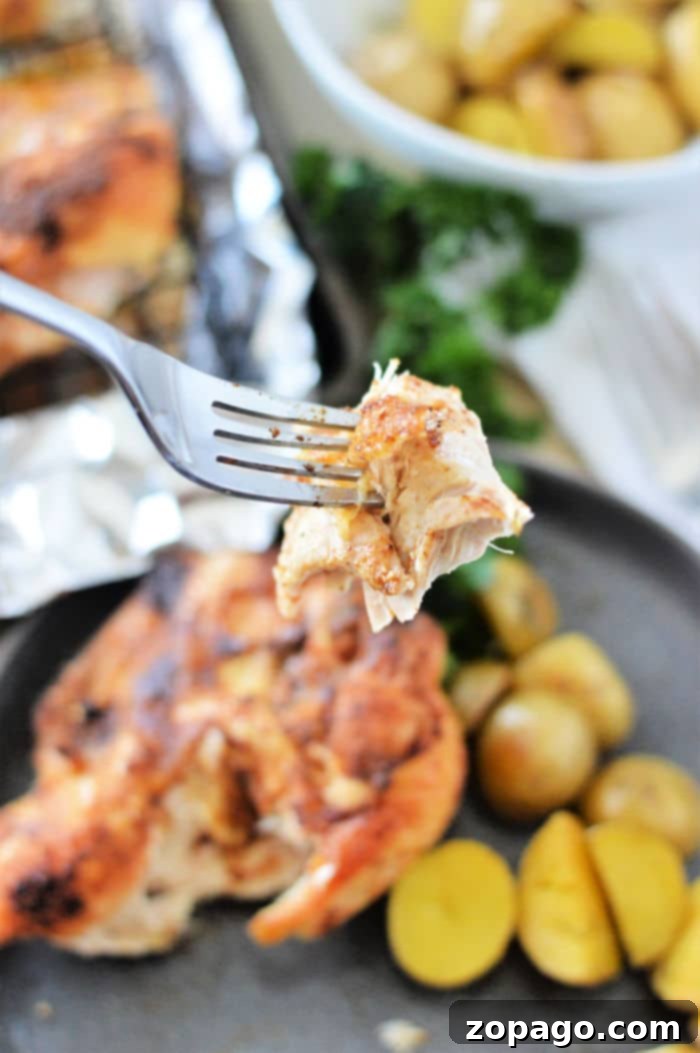 How Long to Bake Chicken Breast at 350F 9 Bone In Chicken Breast Temp