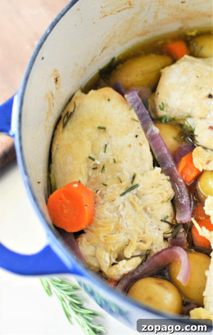 Dutch Oven Chicken Breast 2 Chicken Breasts in Dutch Oven with vegetables