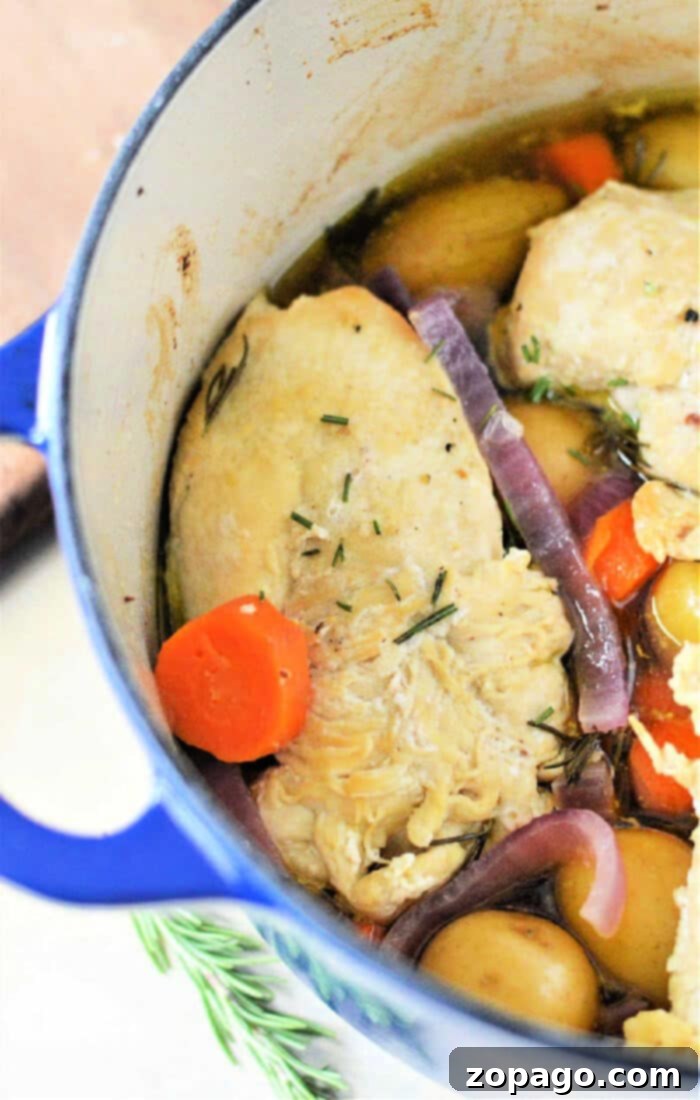 Dutch Oven Chicken Breast 8 Dutch Oven Chicken Breast and Vegetables, served in the pot