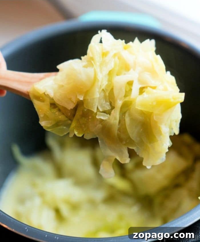 Tender Pressure Cooker Cabbage 2 Buttered Pressure Cooker Cabbage