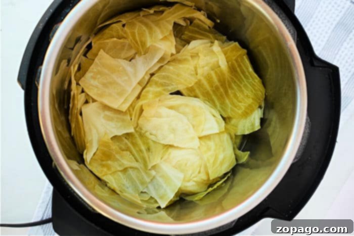 Tender Pressure Cooker Cabbage 8 Pressure Cook Cabbage