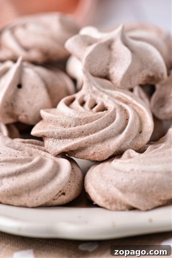 Crisp Chocolate Meringues 7 How to Make Meringue Cookies - final arranged cookies