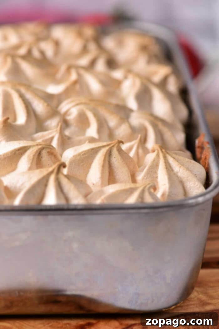Zesty Lemon Meringue Strawberry Shortcake 9 A stunning overhead shot of Lemon Meringue Strawberry Shortcake, ready to be served.