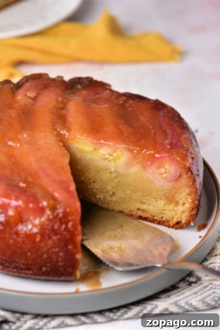 Sticky Caramel Banana Cake 2 Caramelized Banana Upside Down Cake, featuring a golden brown topping and tender cake texture.