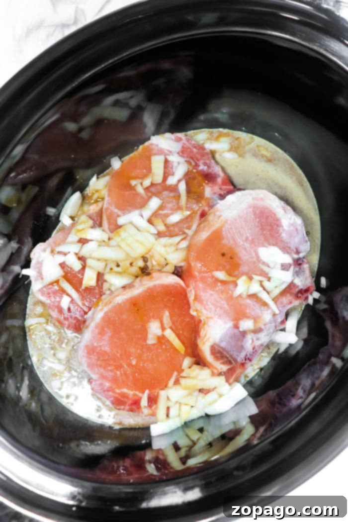 Easy Frozen Pork Chops Slow Cooker 4 Frozen Pork Chops in Crock Pot
