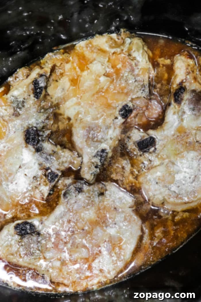 Easy Frozen Pork Chops Slow Cooker 5 Slow Cooker Frozen Pork Chops