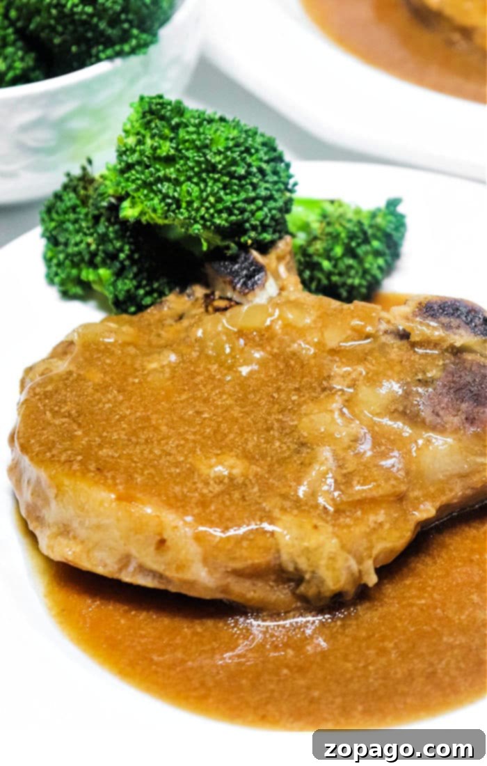 Easy Frozen Pork Chops Slow Cooker 6 Baking Frozen Pork Chops