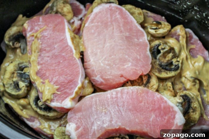 Easy Frozen Pork Chops Slow Cooker 7 slow cooker pork chops