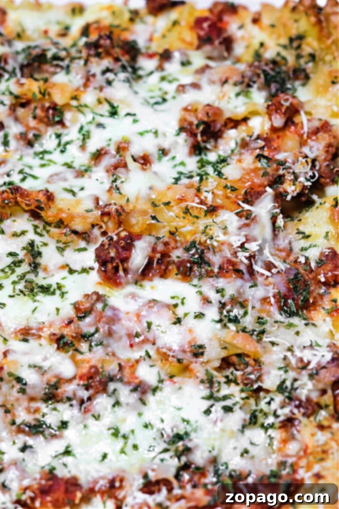 Your Visual Guide to Perfect Lasagna 8 How to Make Lasagna Without Ricotta Cheese