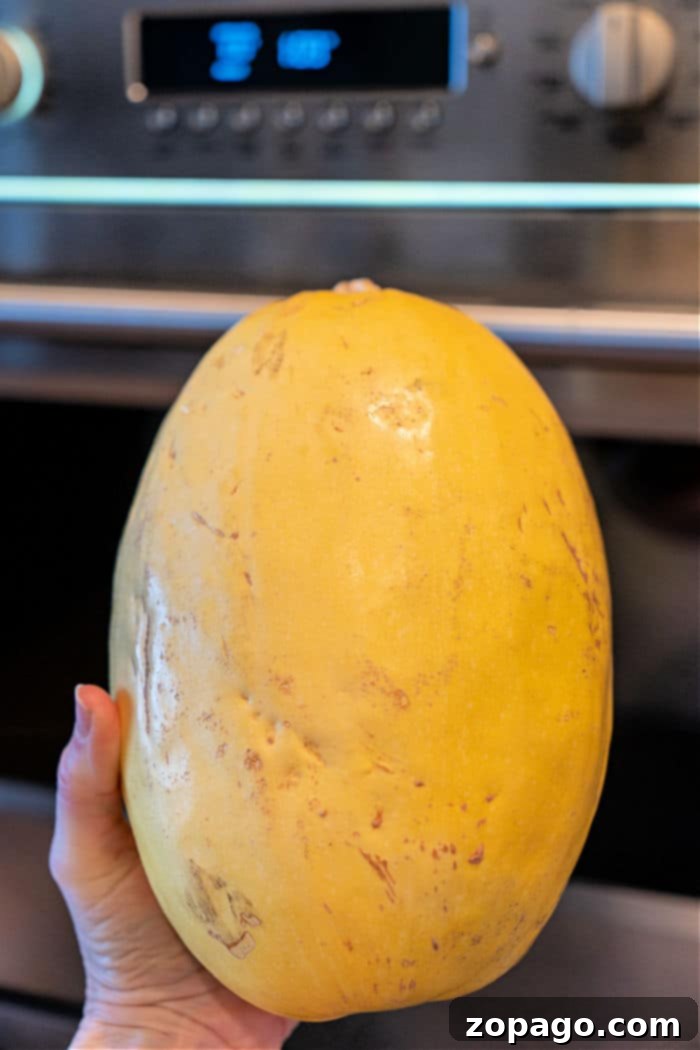 Baking Whole Spaghetti Squash 2 Baking Spaghetti Squash Whole