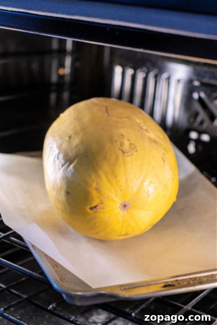 Baking Whole Spaghetti Squash 4 Roast Spaghetti Squash Whole