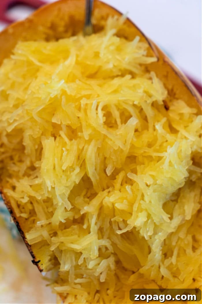 Baking Whole Spaghetti Squash 7 Leftover Spaghetti Squash