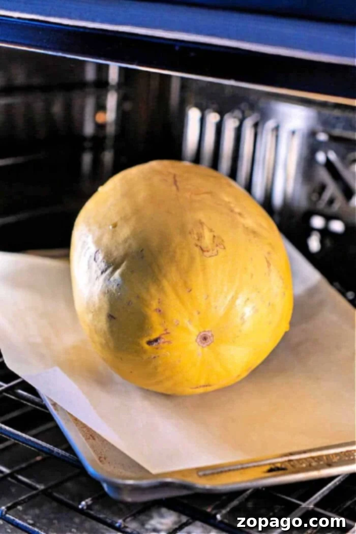 Baking Whole Spaghetti Squash 8 How to Roast Spaghetti Squash Whole