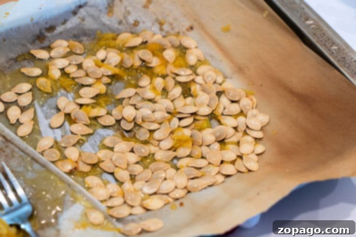 Crispy Spaghetti Squash Seeds 5 Cleaned and thoroughly dried spaghetti squash seeds laid out on a baking sheet, ready for seasoning.
