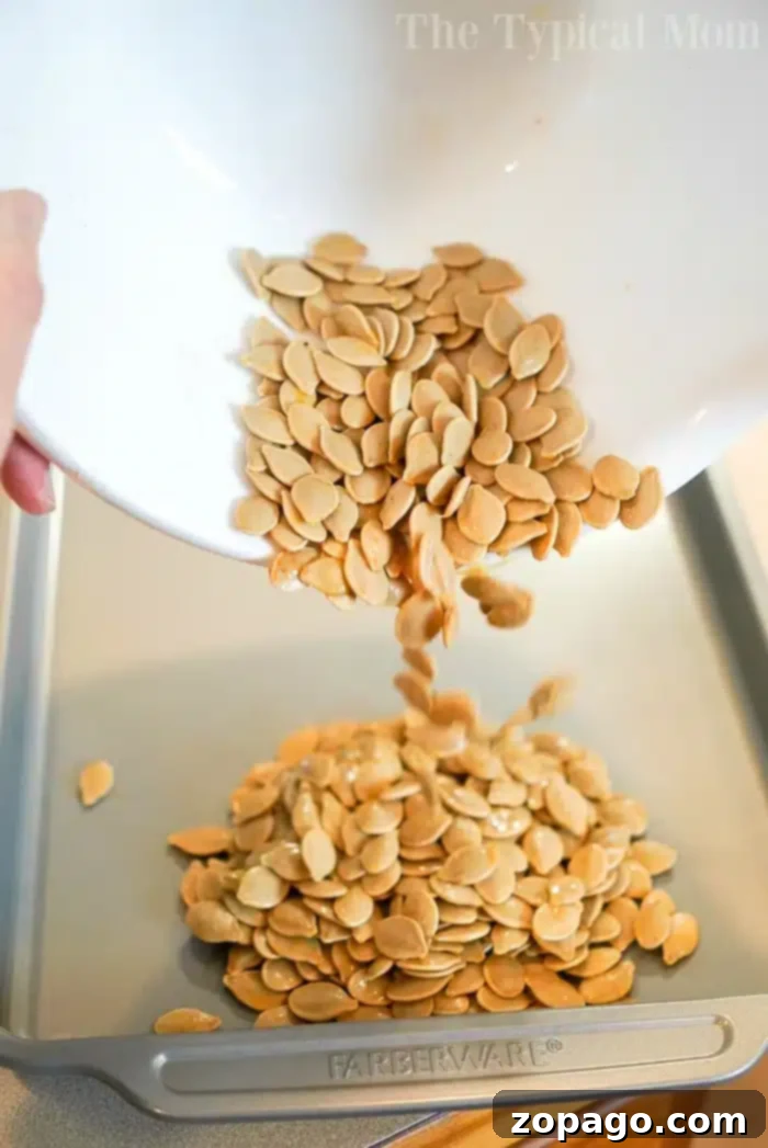 Crispy Spaghetti Squash Seeds 6 A close-up of a bowl brimming with perfectly roasted spaghetti squash seeds delivers a crunchy delight.