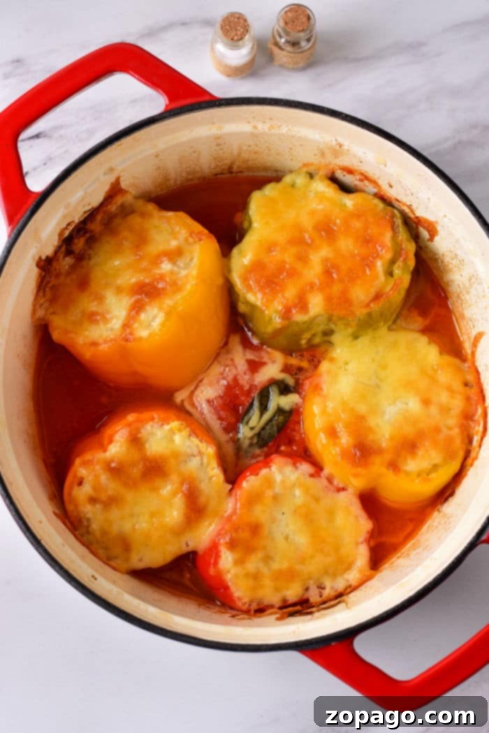 Savory Stuffed Bell Peppers 6 Stuffed Peppers at 400 Degrees F