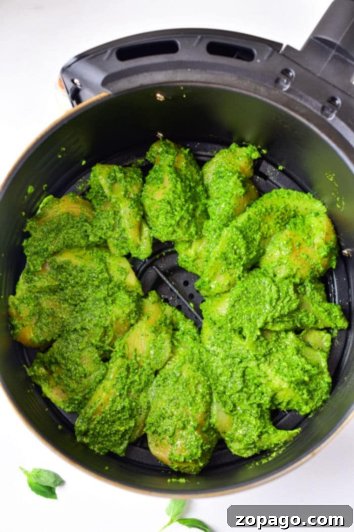 Ultimate Air Fryer Pesto Chicken 5 Ninja Foodi Pesto Chicken - chicken pieces cooked to perfection in a Ninja Foodi air fryer, garnished with fresh basil.