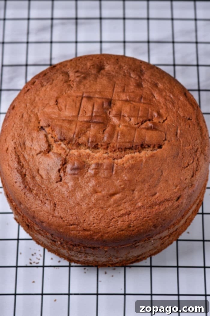 Baking the Perfect 8-Inch Round 5 Beautifully baked 8-inch cake, ready for frosting