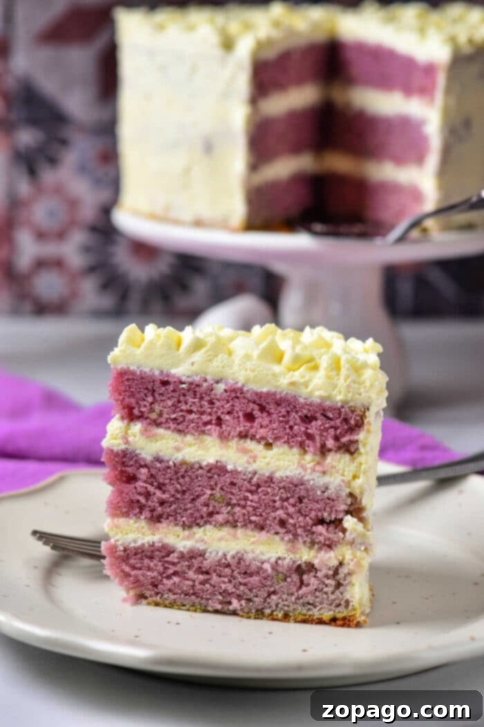 Bake a Vibrant Purple Cake 7 Elegant Purple Cake with decorative white frosting swirls and a single celebratory candle, perfect for any special occasion