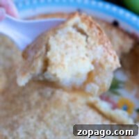 A spoon lifts a portion of golden-brown apple cobbler from a decorative dish, its delicious aroma reminiscent of a pour-over top pie crust.