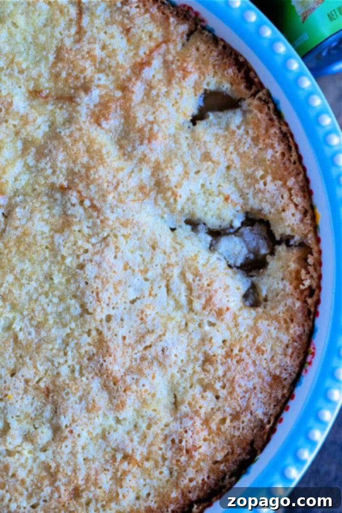 Pour-Over Pie Crust Technique 7 Delicious pour-over top pie crust