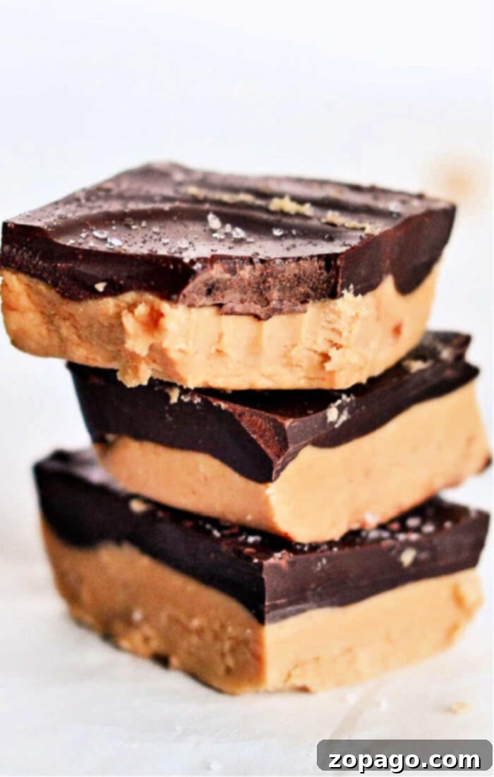 Classic Lunch Lady Chocolate Peanut Butter Bars 2 Lunch Lady Peanut Butter Bars