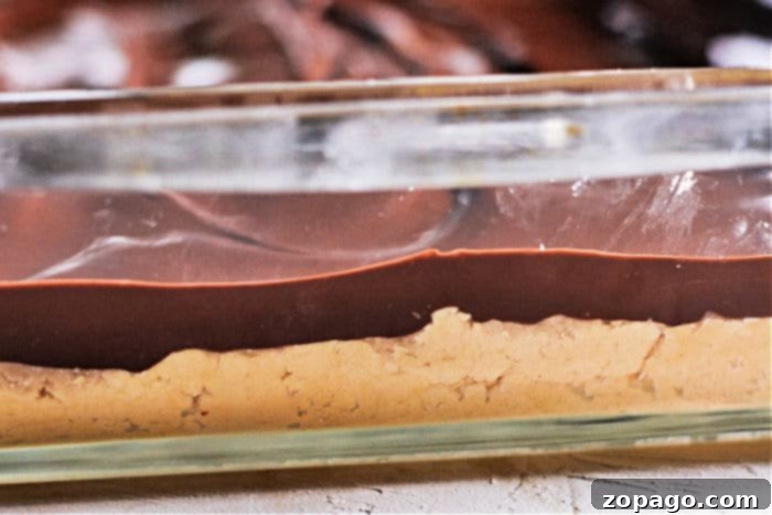Classic Lunch Lady Chocolate Peanut Butter Bars 5 Old School Cafeteria Peanut Butter Squares