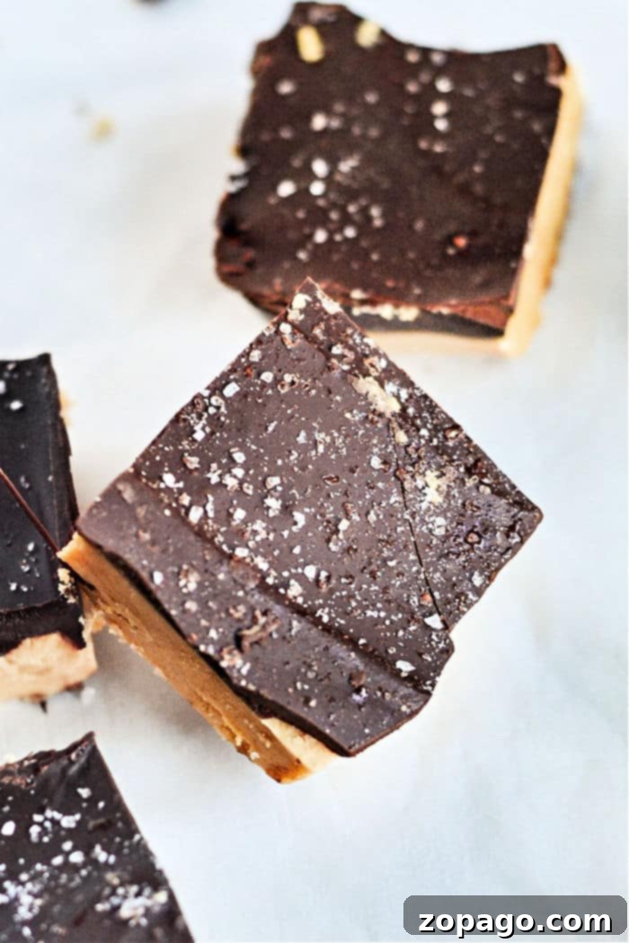 Classic Lunch Lady Chocolate Peanut Butter Bars 6 Lunch Lady Peanut Butter Bars No Bake