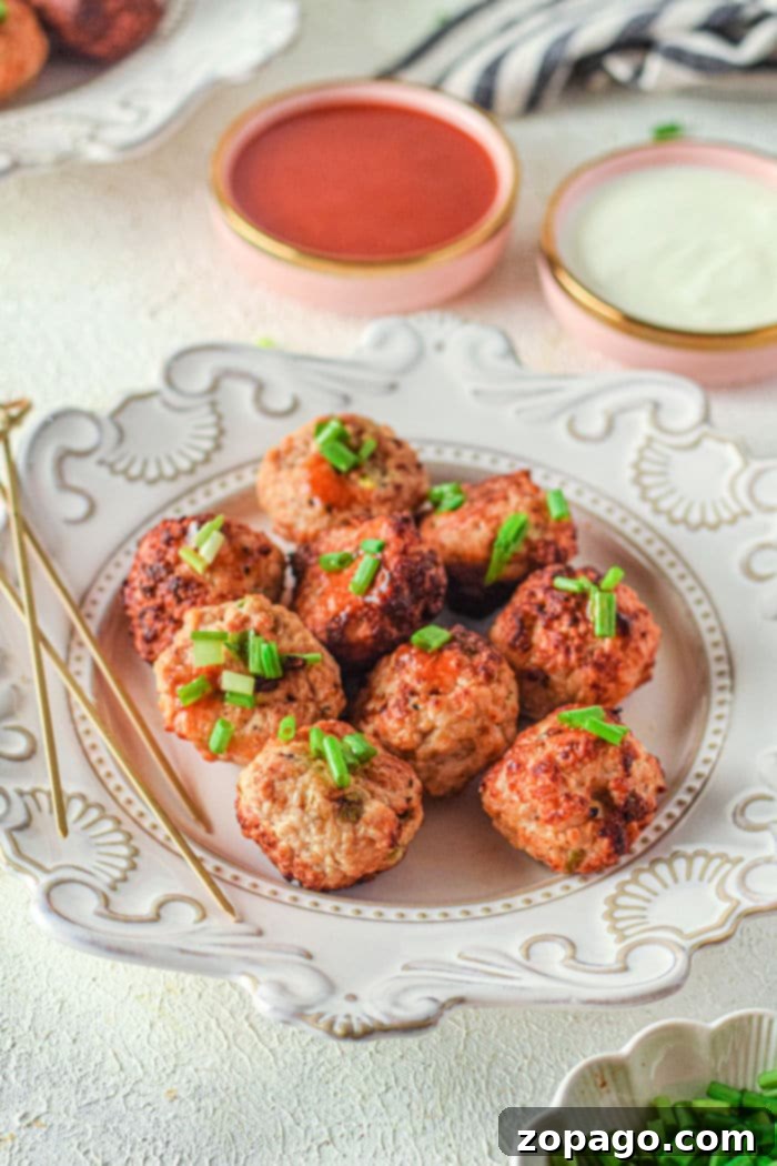 Crispy Air Fried Chicken Meatballs 9 Air Fryer Chicken Meatballs