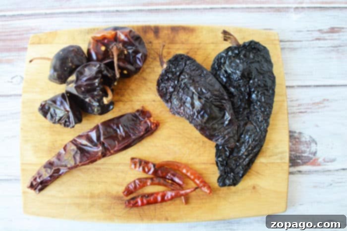 Effortless Instant Pot Birria Tacos with Rich Consommé 5 An assortment of dried chili peppers, essential ingredients for crafting the rich and spicy birria sauce.