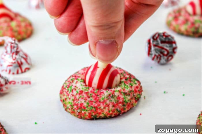 Artisan Blossom Cookies 7 Chocolate Peppermint Cookies