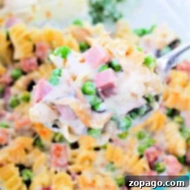 Tetrazzini Blueprint 4 A spoonful of creamy pasta bake with turkey, peas, and cheese hovers above a glass baking dish, reminiscent of a delightful tetrazzini recipe.