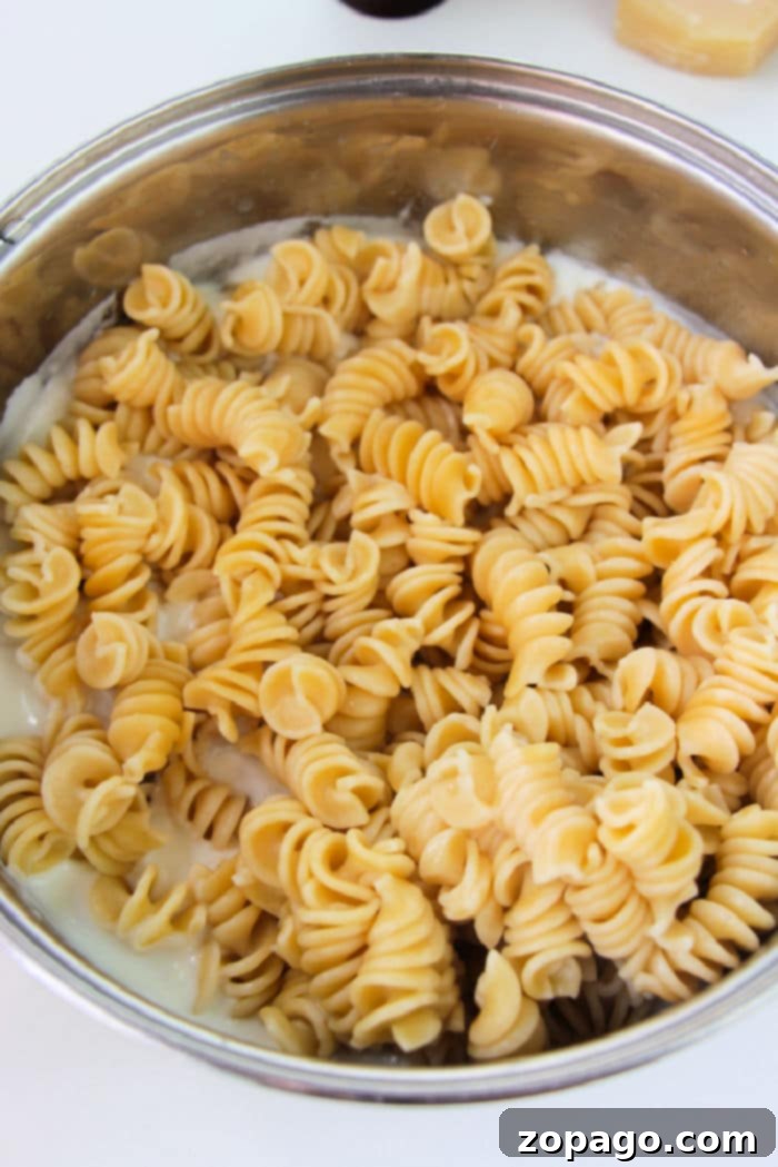 Tetrazzini Blueprint 6 Easy Turkey Tetrazzini