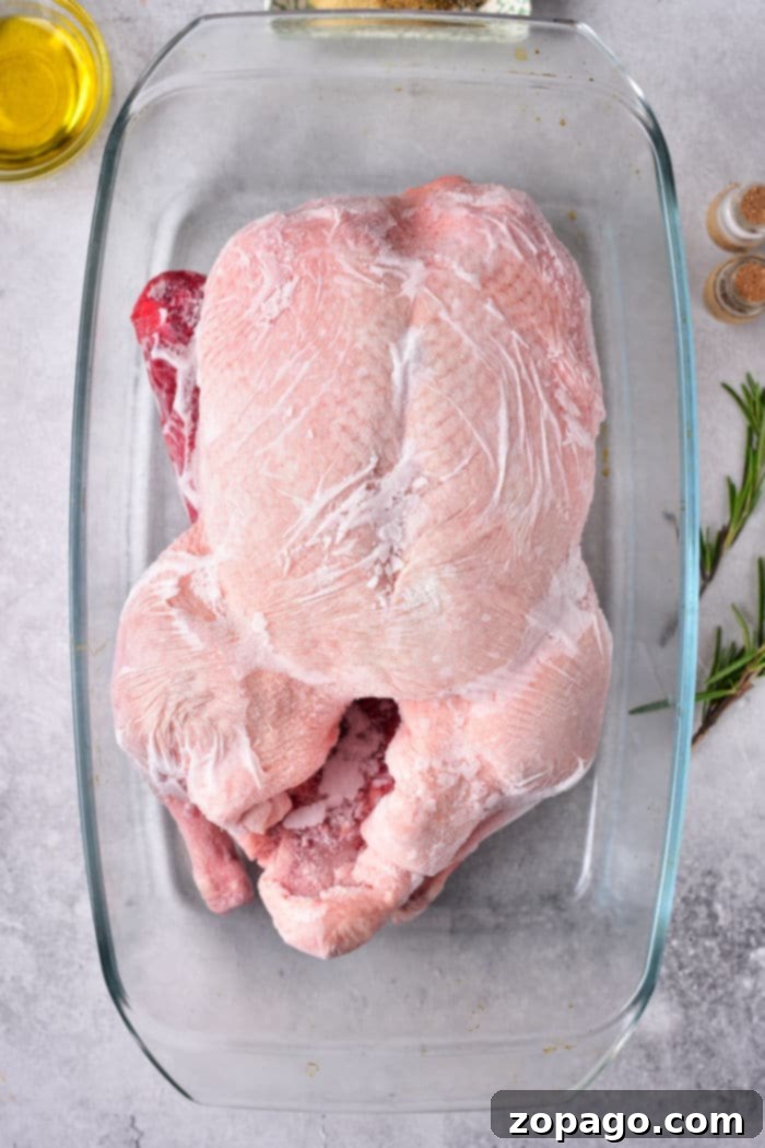 Roast Frozen Duck Like a Pro 3 A perfectly frozen whole duck, ready for the oven.