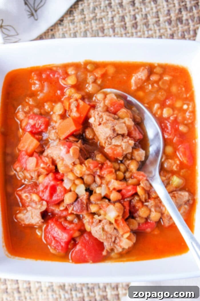 Hearty Lentil Stew 5 Large bowl of Crockpot Lentil Stew ready to serve