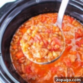 Comforting Lentil Stew 6 A ladle dips into the slow cooker, scooping up a hearty serving from the lentil stew recipe, brimming with vegetables.