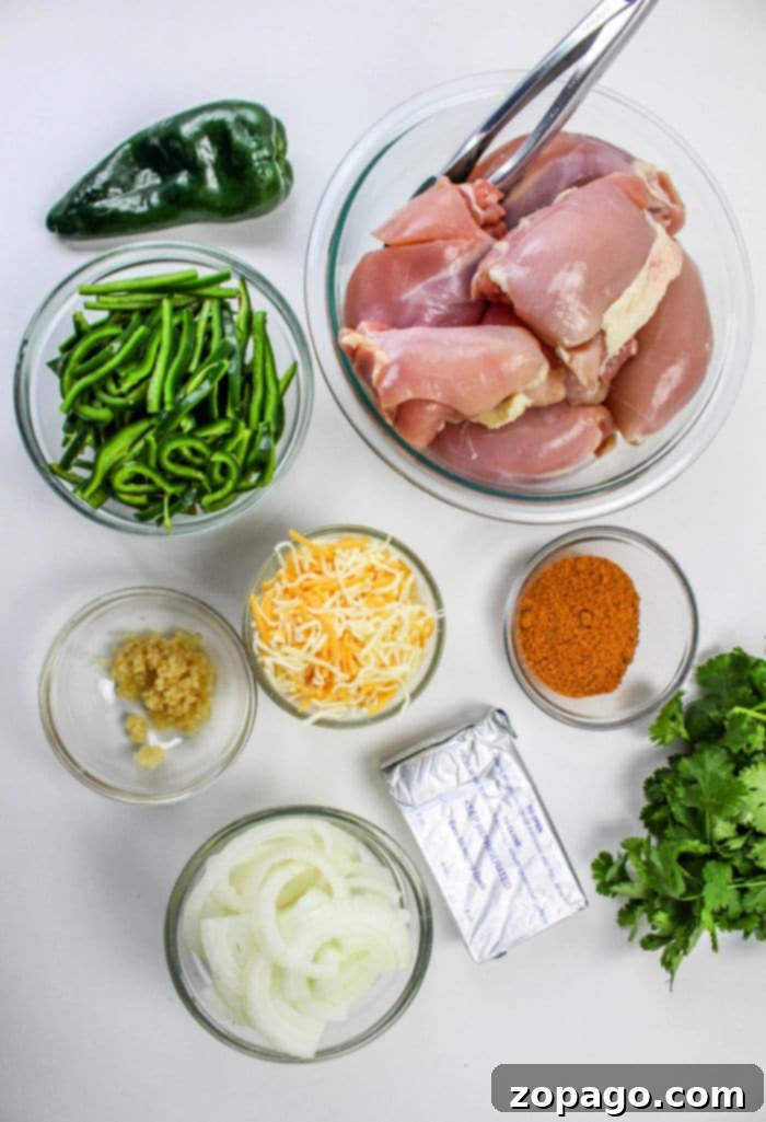 Savory Poblano Chicken 3 Poblano Peppers and Chicken in a slow cooker, illustrating ingredients