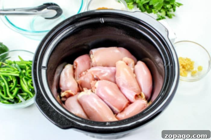 Creamy Poblano Chicken 4 Crockpot Chicken Poblano served in a bowl