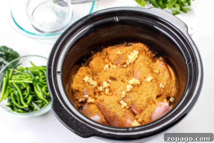 Creamy Poblano Chicken 6 Slow Cooker Chicken Thighs Recipe - close up of shredded chicken