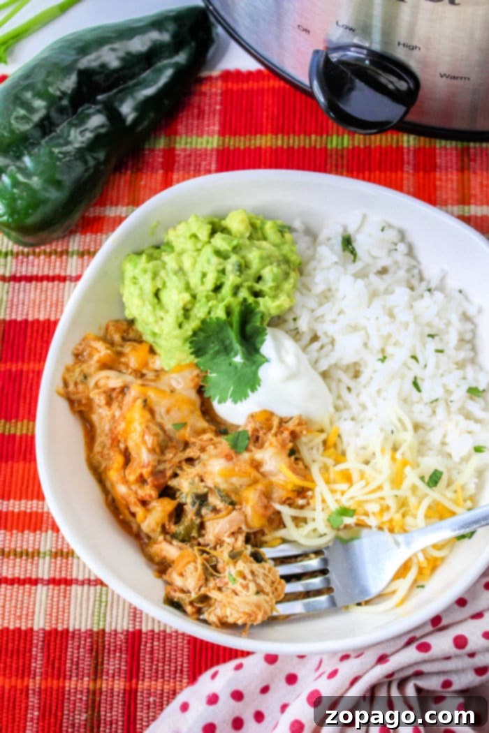 Savory Poblano Chicken 7 A serving of creamy slow cooker chicken poblano with toppings