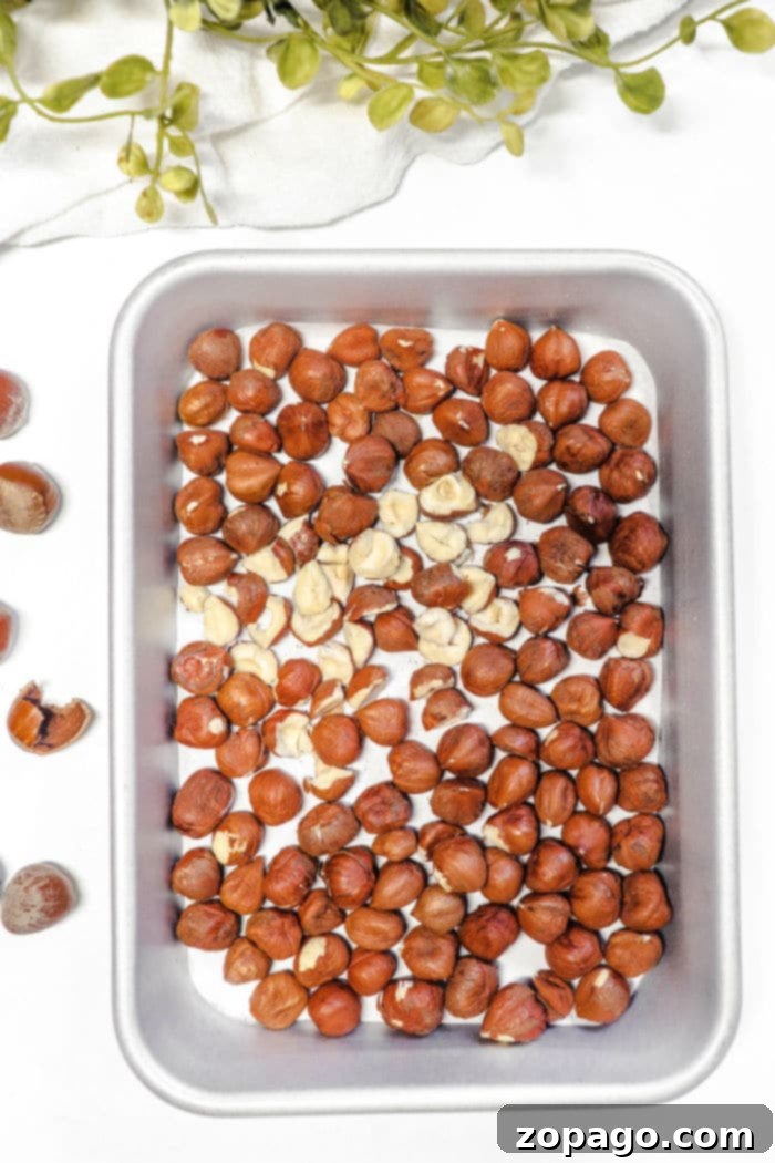 Roast Hazelnuts to Perfection 4 Roasted Hazelnuts