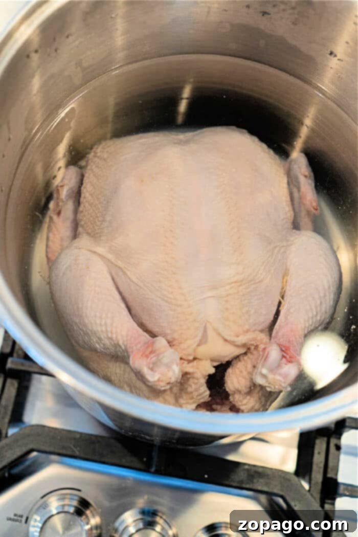 Boiling a Whole Chicken: The Perfect Timing 2 Perfectly boiled whole chicken, ready for shredding