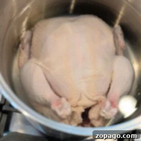 Tender Whole Chicken Boiling Guide 8 Perfectly Boiled Whole Chicken Recipe