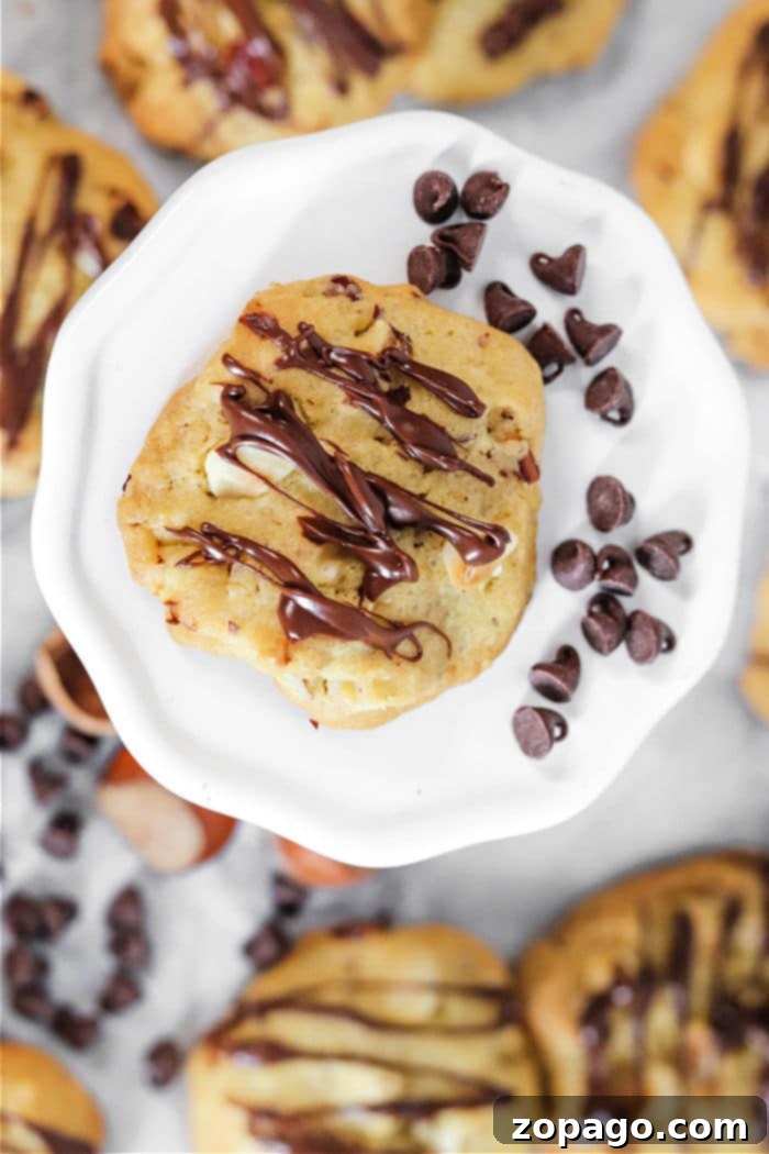 Fudgy Chocolate Hazelnut Cookies 2 Delicious Chewy Chocolate Hazelnut Cookies with a Sprinkle of Nuts