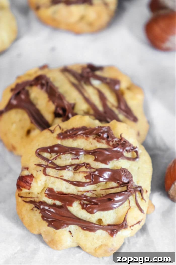 Fudgy Chocolate Hazelnut Cookies 6 Stacked Chocolate Chip Hazelnut Cookies with a Sprig of Greenery